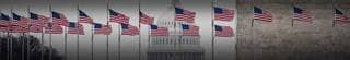 View of multiple American flags flying in the wind.